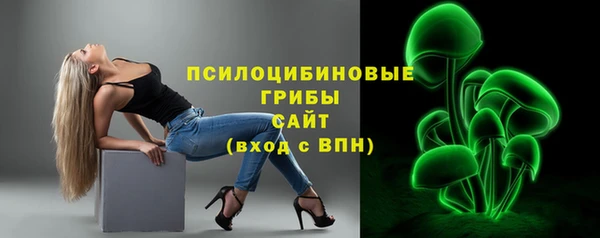 гашик Балабаново