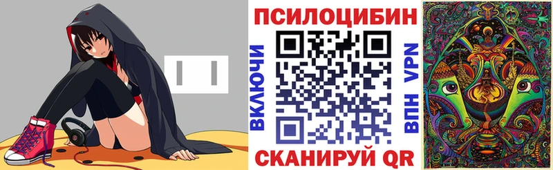 где продают наркотики Красноуфимск Галлюциногенные грибы Psilocybe